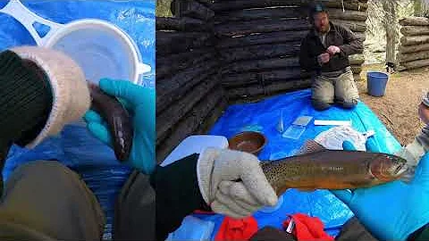 Allison Creek Brood Trout Station Mobile Quarantin...