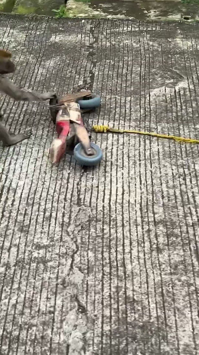 Monyetnya naik sepeda #topengmonyet #monyet #sepeda #fyp #shorts #trending