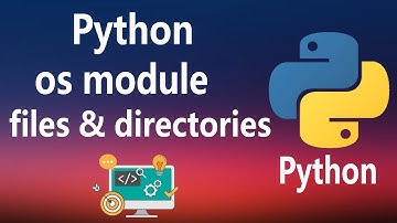 #31 - os module in Python