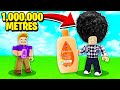 MES CHEVEUX MESURE PLUS DE 1,000,000 METRES DANS ROBLOX !