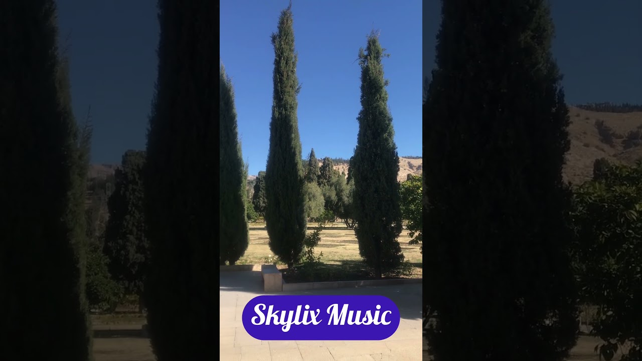 This Tree-Lined Park Walk Will Calm Your Mind 🌳😌