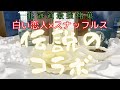 北海道の神スイーツ「白い恋人ホワイトチョコレートオムレット」石屋製菓と函館洋菓子スナッフルスの最強タッグで発売された噂のチーズオムレットを買いに行ってきたよ！スナッフルス札幌清田店