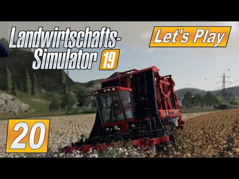 ls19lt LS19 #20 Bauwolle und Raps ernten #Farming Simulator 2019 #LetsPlay Landwirtschaft #deutsch