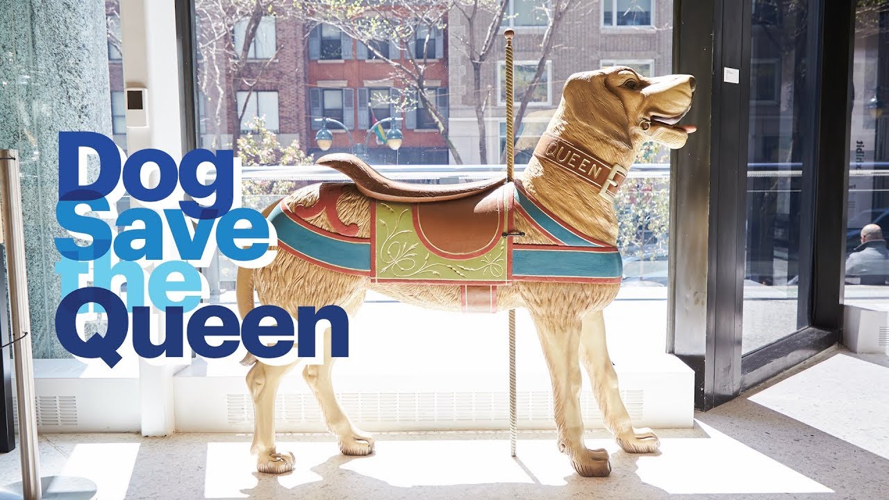 dog save the queen Top Sale 32KB 2001 null null null 6 6 3 6 1 2003 null RnSJkTVm6SsSqM