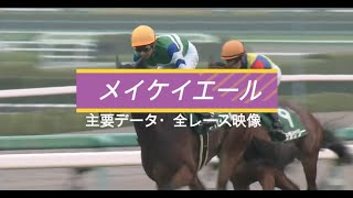 【競馬】有力馬　メイケイエール　主要データ＆全レース