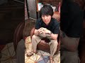 SID Instalive