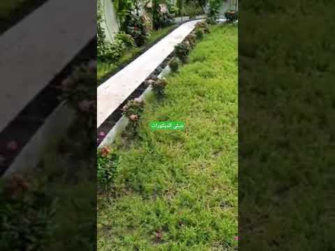 تركيب حجر رصيف جنينه