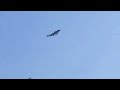 J20S + J36 #aviation #airforce #fighter 
