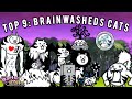 TOP 9: Del peor al mejor Brainwasheds Cats 🔥🐱-The battle cats