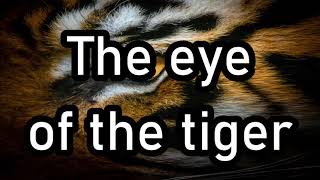 Eye Of The Tiger - Survivor | [Paroles / Lyrics]