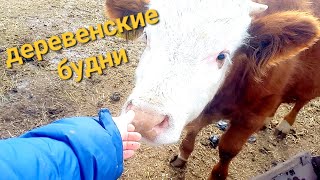 Деревенские будни.обзор хозяйства