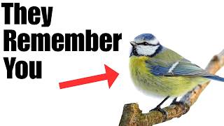 Scientists discovered backyard birds are far smarter than we ever imagined.