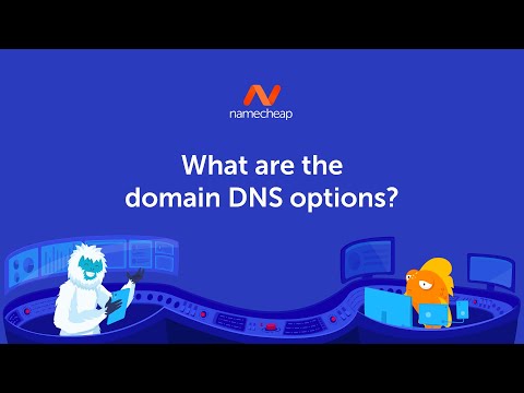 What are the domain DNS options?