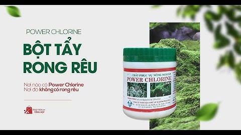 Bột Tẩy Rong Rêu Đa Năng  - Đánh bay các loại rong rêu cứng đầu