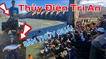 Đập thủy điện Trị An đóng cửa xả,người dân bắt toàn cá KHỦNG |bắt cá hồ Trị An mới nhất 
