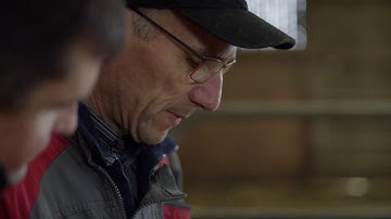 Preview | Increasing Gains for Beef Cattle Through Genotyping