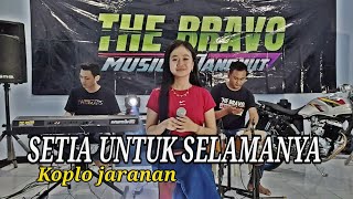 Setia untukmu selamanya | Shafana | The Bravo jandhut | Kuntoplay