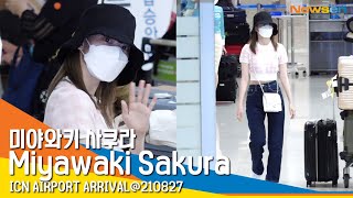 미야와키 사쿠라(Miyawaki Sakura), '본격 한국 활동 시작!? 인천공항에 도착한 사쿠라' #NewsenTV