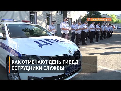 Как отмечают День ГИБДД сотрудники службы