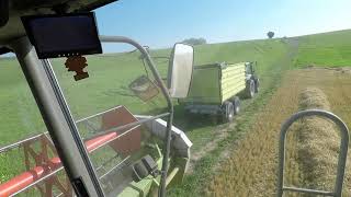 POV Lexion 460  Wettlauf gegen das Unwetter