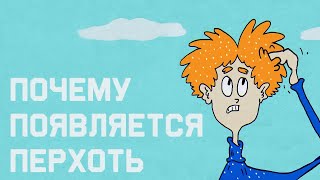 Edu: Почему появляется перхоть и как от неё избавиться