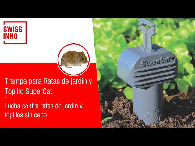 Trampa para ratas tamaño grande SUPERCAT