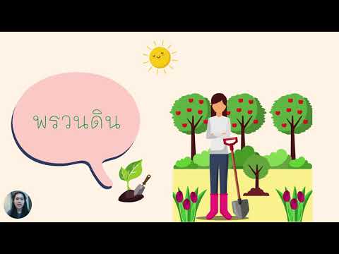หน่วย ต้นไม้ที่รัก  เรื่อง การดูแลรักษาต้นไม้