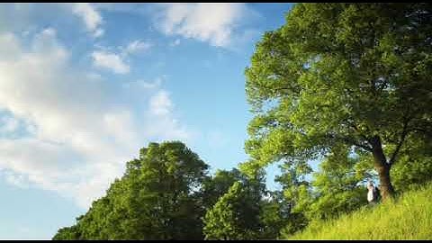 تلاوة جميلة للطفل السلفي محمد عبدالرؤوف