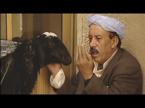 لا تشتري طلي الا وقد عرفت اصله وفصلة يحيى السنحاني كوميدي مسلسل شاهد عيان حصريا