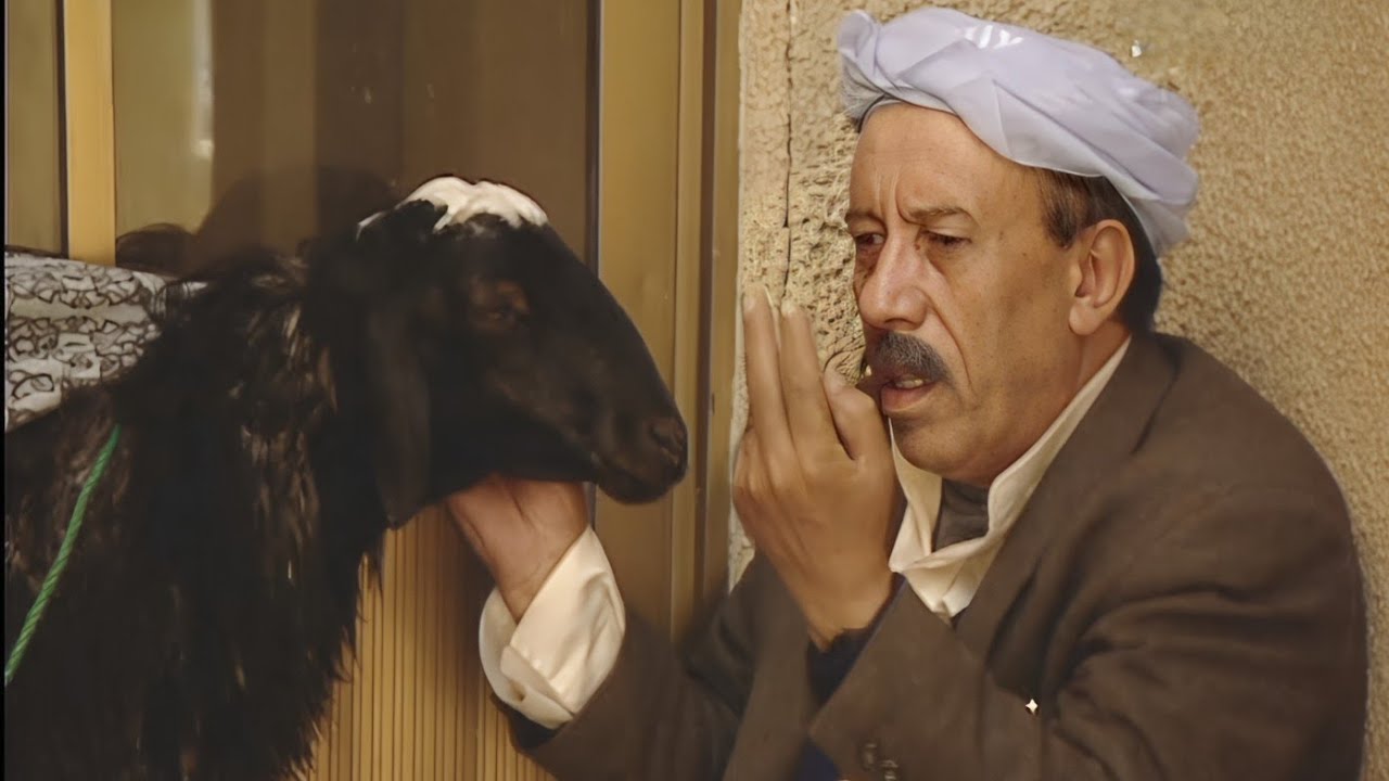 لا تشتري طلي الا وقد عرفت اصله وفصلة🤣يحيى السنحاني كوميدي😂مسلسل شاهد عيان حصريا