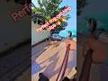Once Again Gojo 2 Dog Catching Trailer #gojo #railer #dog #streetdogrevival #ytviral