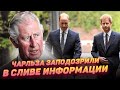 Стало известно, как Гарри и Уильям объединились против отца