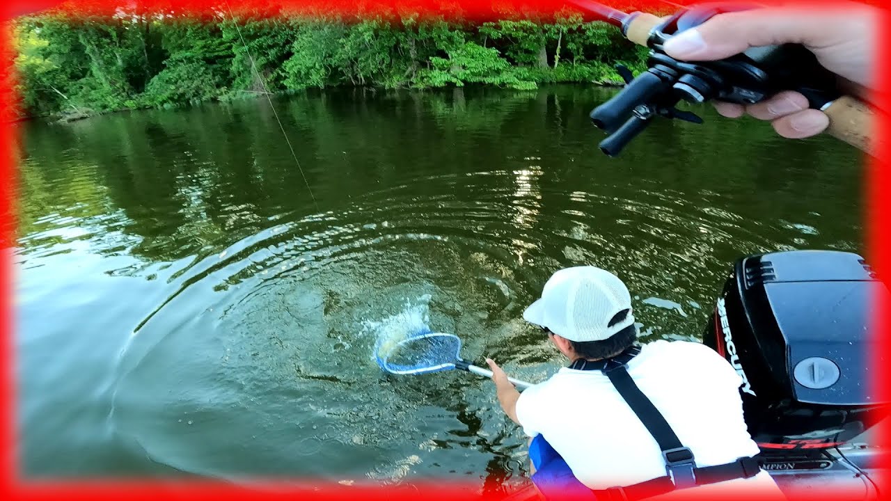 Unbelievable Catch While Bass Fishing