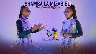 SHAMBA LA MIZABIBU    E  Ogeda