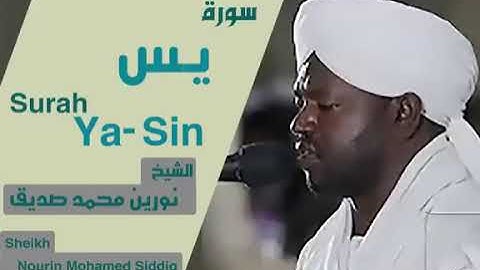36 سورة يس الشيخ نورين محمد صديق  Sheikh | Nourin Mohamed Siddig |Surah Ya-Sin