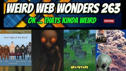 weird web wonders 263