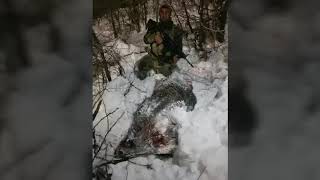 Şırnak Uludere Andaç