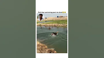 बच त गय Funny Comedymove Comedyfilms Reels Comedy Comedyforever Comedymovies 