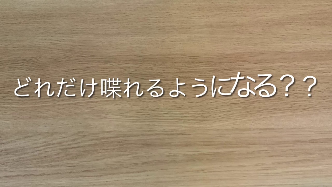子供の英語学習 5歳児が毎日25分 8か月間 Dmm英会話を続けたらどこまで喋れるようになるか Youtube