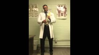 Whiplash Treatment in Jacksonville FL