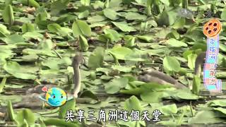 【小主播看天下】20140409 - 第256集