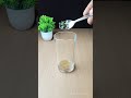 Lemon Juice Digestive Drink #lemonjuice #digestivedrink