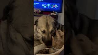 Best Friends Forever