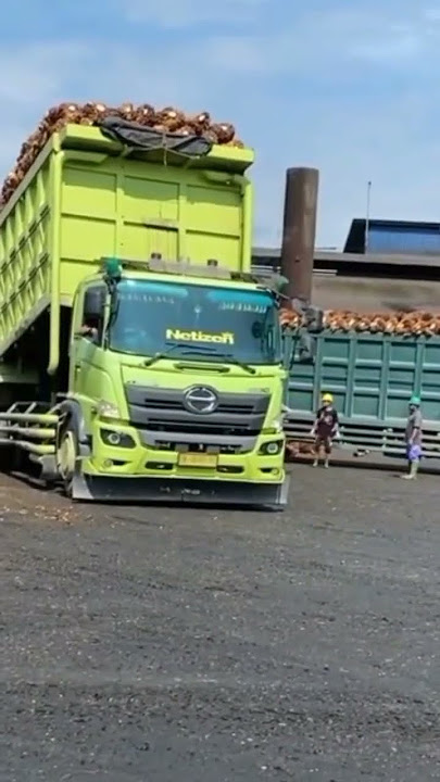 tronton hino bongkar sawit#mobil sawit#shorts
