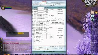 WoW emu Hack