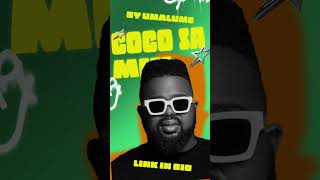 Best Of Cocosa 2025 Mix  Soulful House  Deep House  Neo House