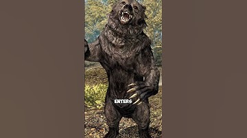 Fallout and Elder Scrolls Same Universe Theory