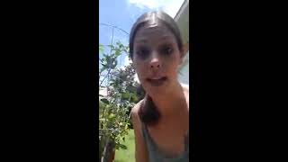 BlackBerry bush care🍇🍃//Why I love growing my own produce!