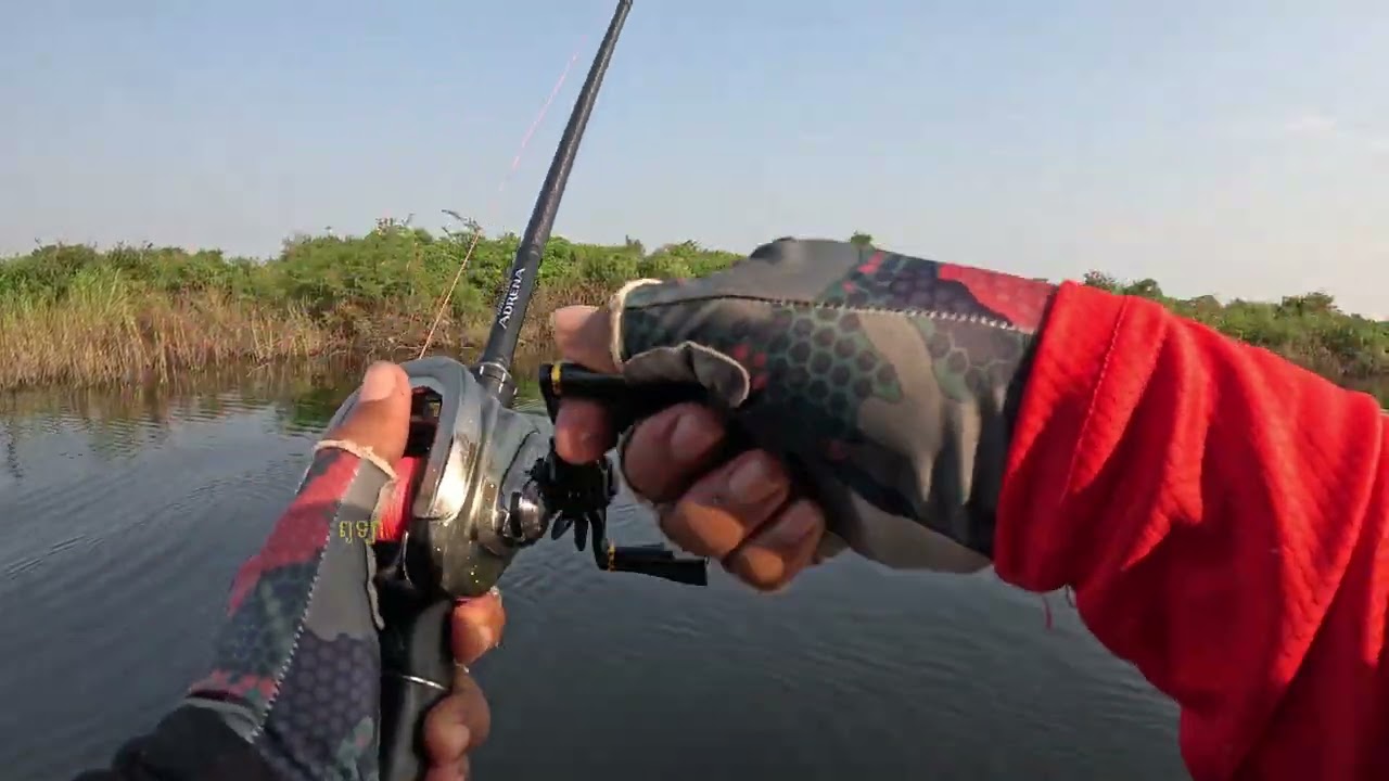 ទន្លេសាបកន្លះថ្ងៃ ទៅប៉ះចំត្រីវង្វេង ខាំខុសខាំលែងឥតប្រណី #ត្រីបែក #ត្រីឆក់ #playing 