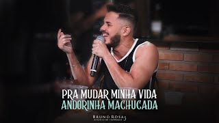 Video thumbnail of "Bruno Rosa - Pra Mudar Minha Vida / Andorinha Machucada [Acústico no Churrasco 3]"